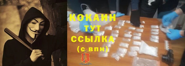 бошки Сатка