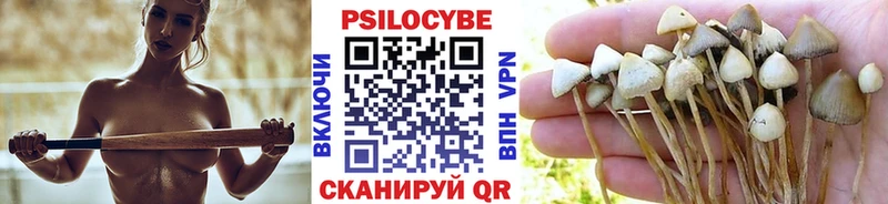 Псилоцибиновые грибы мухоморы  где продают   МЕГА сайт  Курлово 
